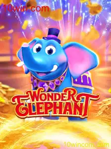 Explore o Fascinante Mundo de WonderElephant